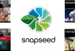 Преимущества фоторедактора «Snapseed»